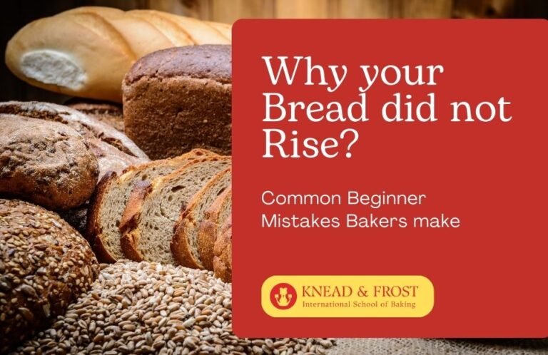 Why your Bread did not Rise – Common Beginner Mistakes Bakers make