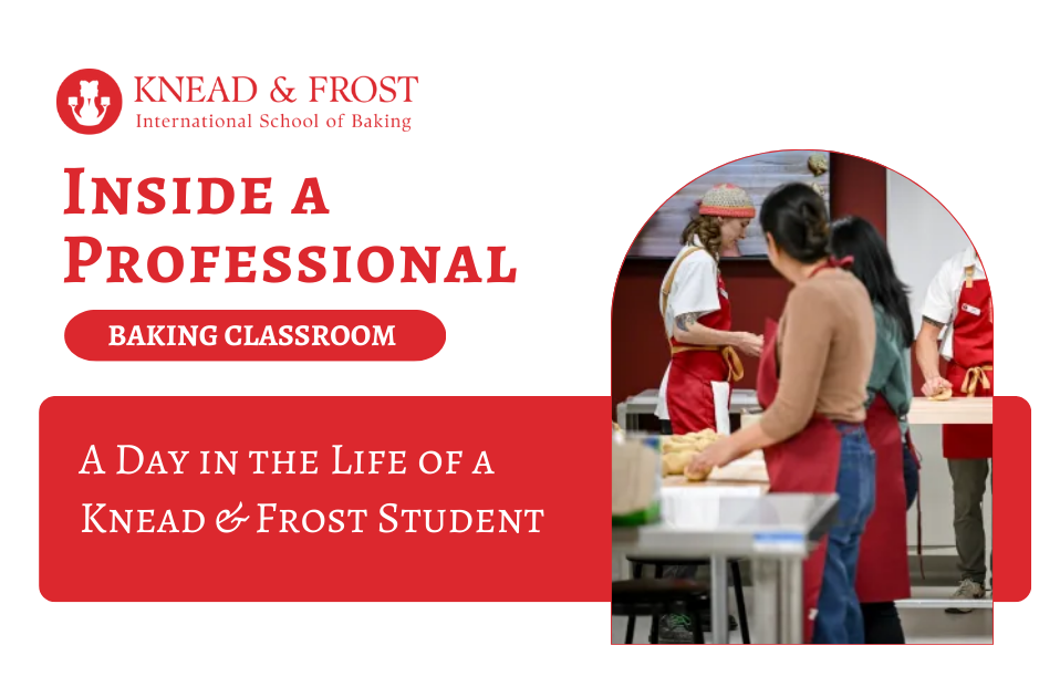 Inside a Professional Baking Classroom – A Day in the Life of a Knead & Frost Student